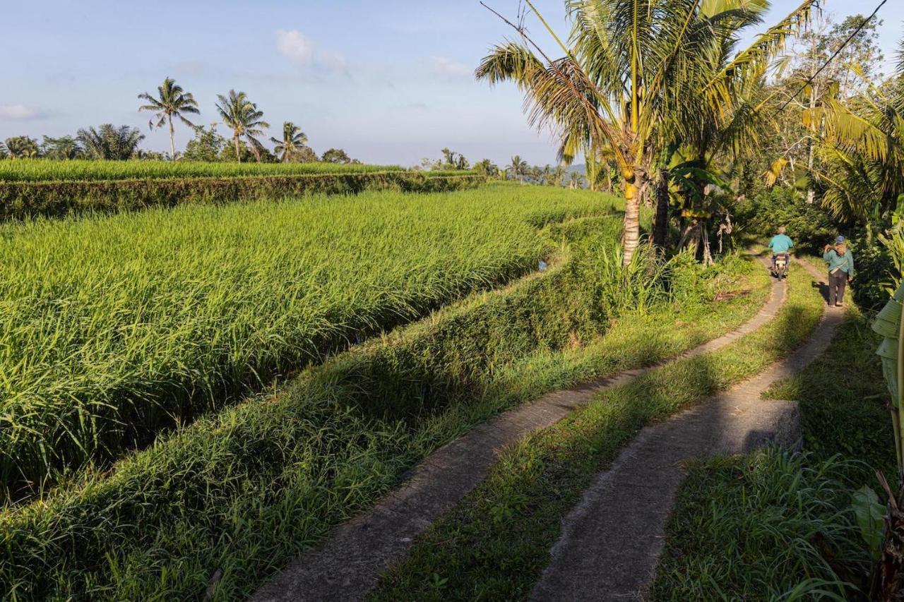 Sanda Plantation Hideaway المظهر الخارجي الصورة