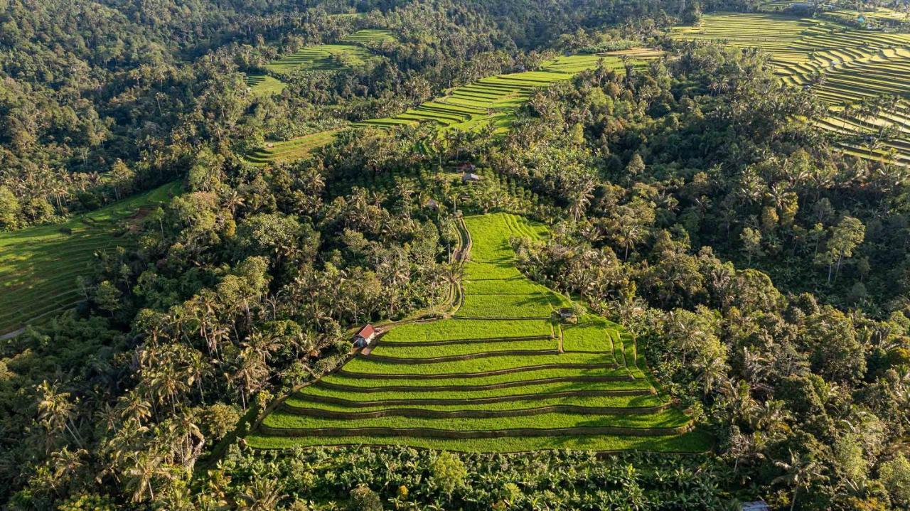 Sanda Plantation Hideaway المظهر الخارجي الصورة