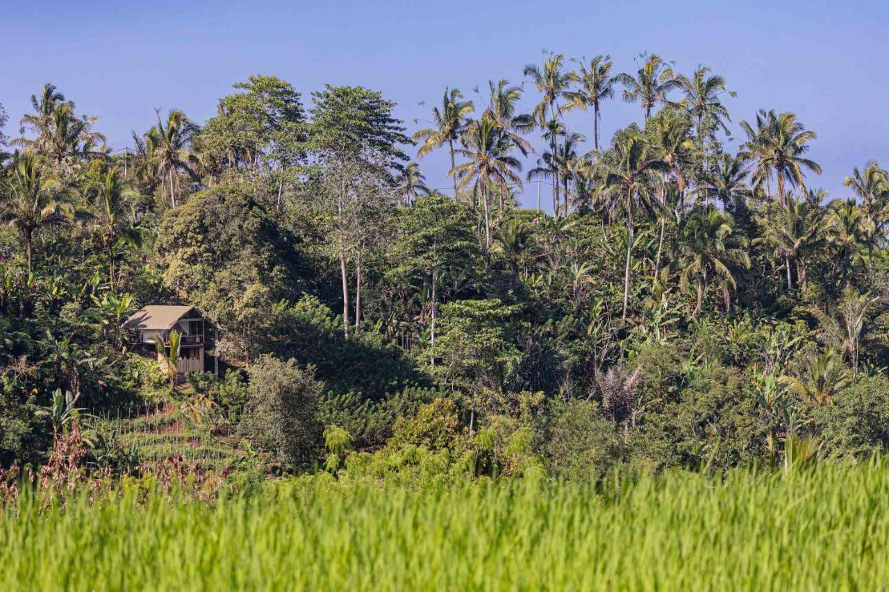 Sanda Plantation Hideaway المظهر الخارجي الصورة